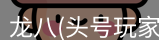 龙八头号玩家唯一